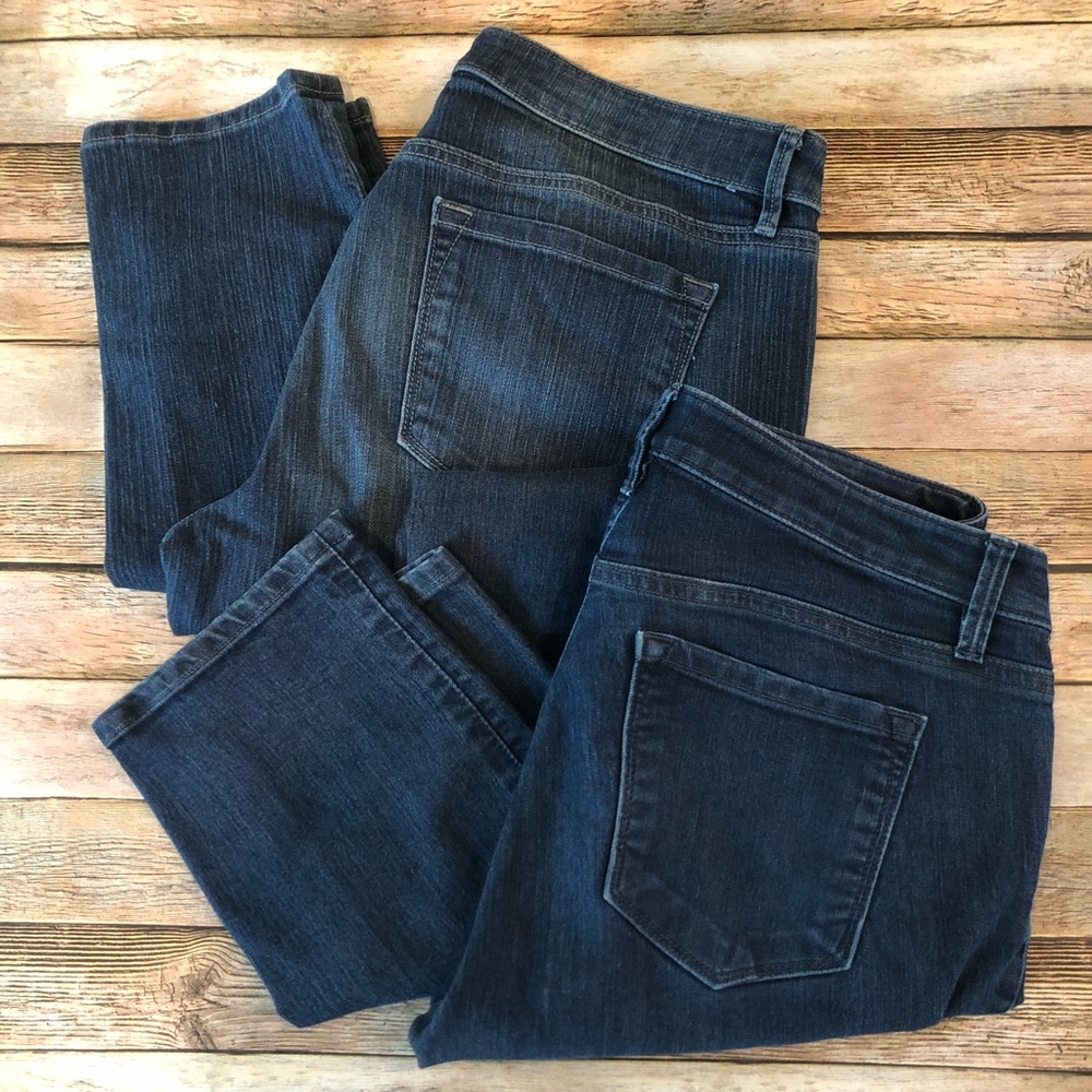 Lot Ann Taylor Loft Sz 10/30 jean